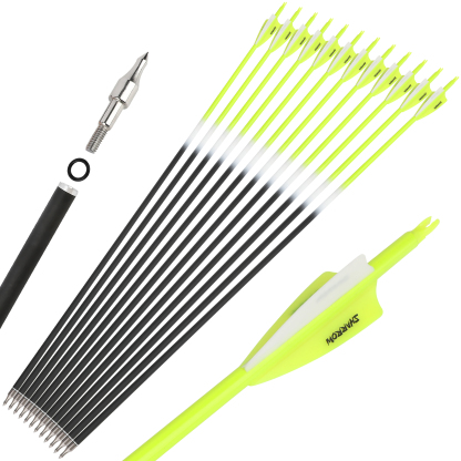 Blood Arrows Archery Field Outdoor Hunting ( Purple )