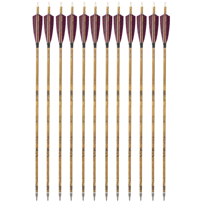 30 Inch Carbon Archery Arrows 6 12 Pack 500 Spine 4 Inch Feathers
