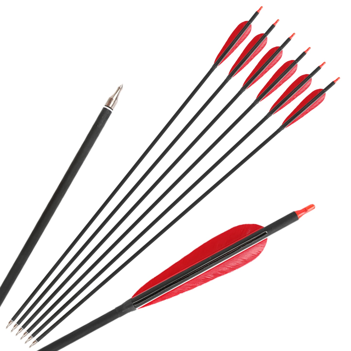 12x Carbon Arrow Spine 500 Turkey Feather Archery Shooting Target