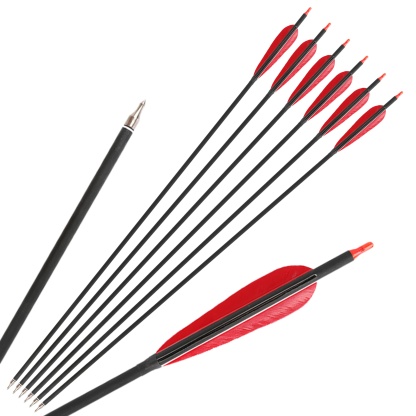 12x Carbon Arrow Spine 500 Turkey Feather Archery Shooting Target