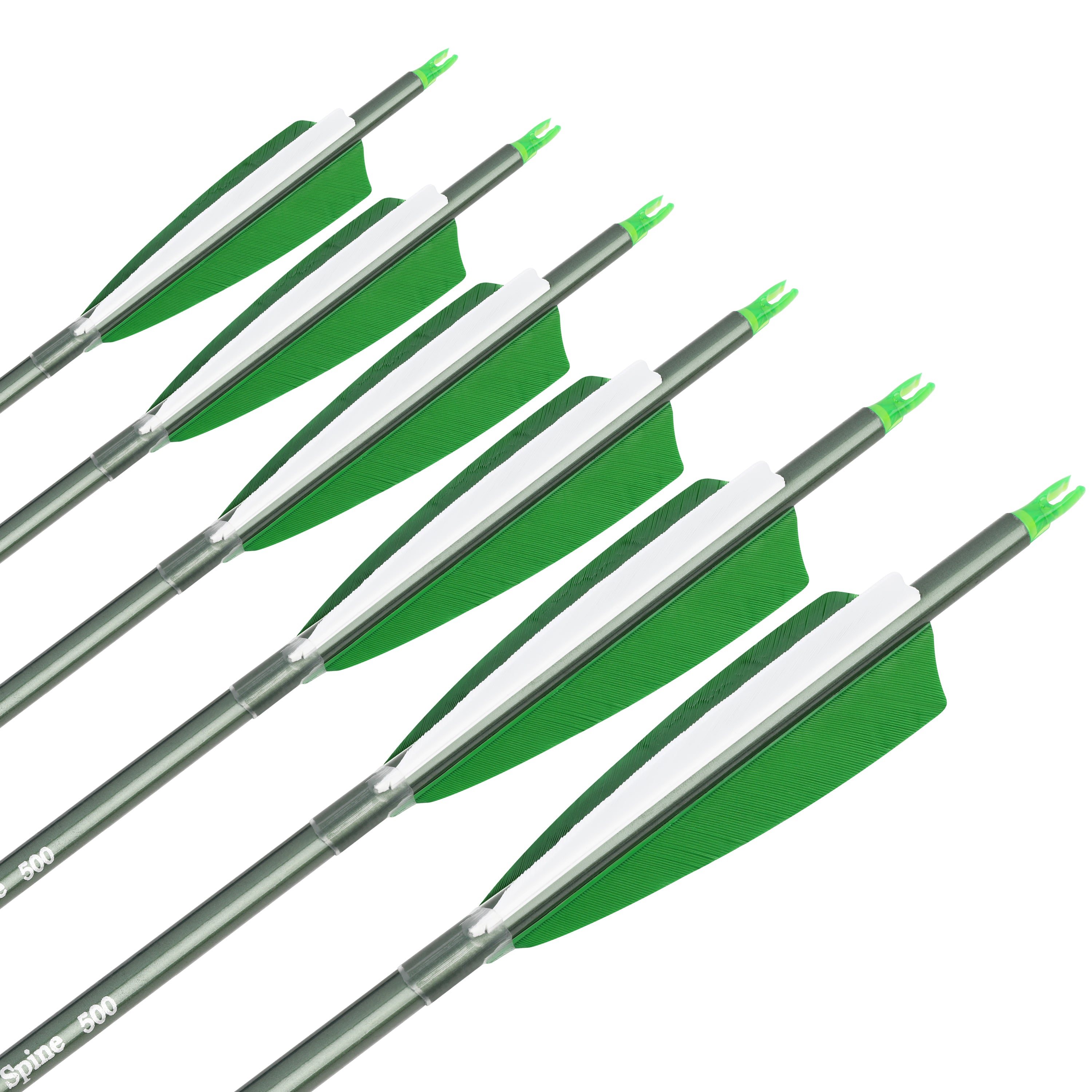 AMEYXGS 12Pcs Fiberglass Arrow 31-inch Hunting/Target Arrow