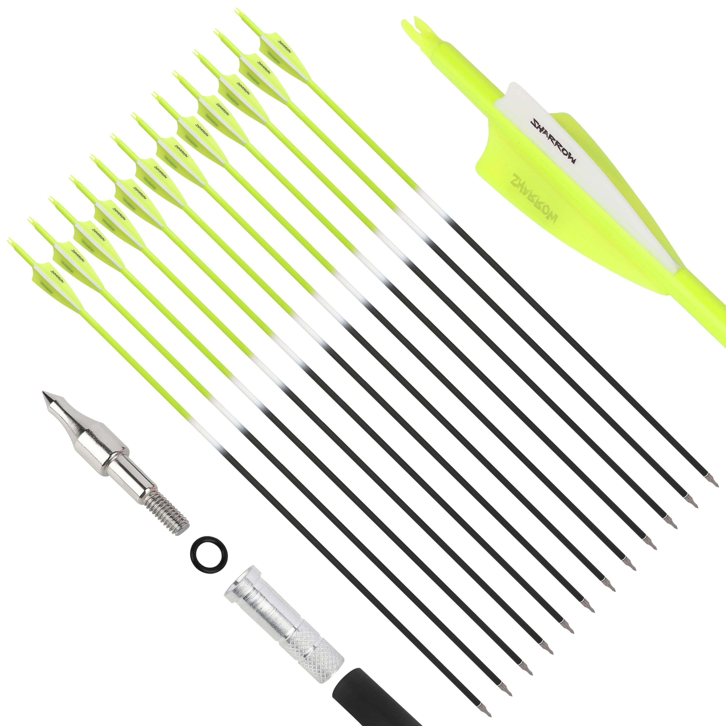 Blood Arrows Archery Field Outdoor Hunting ( Purple )