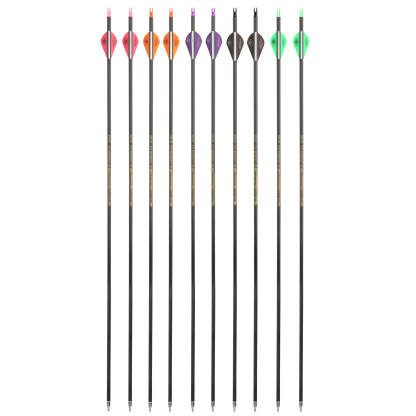  AMEYXGS Archery Carbon Arrows for Targert Hunting bow( 1 Dozen）