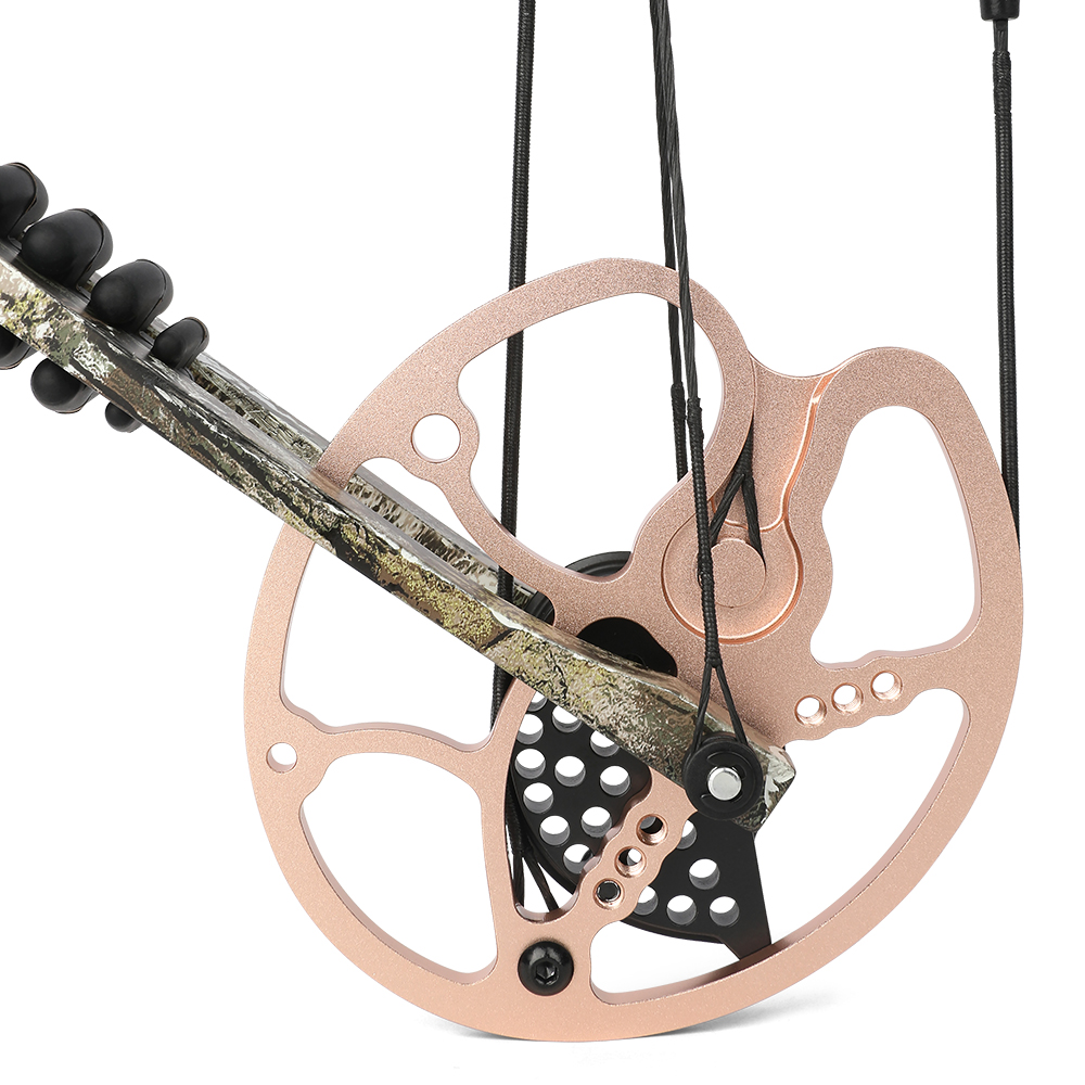 0-70 lbs Compound Bow Arrow Set IBO 325FPS Archery