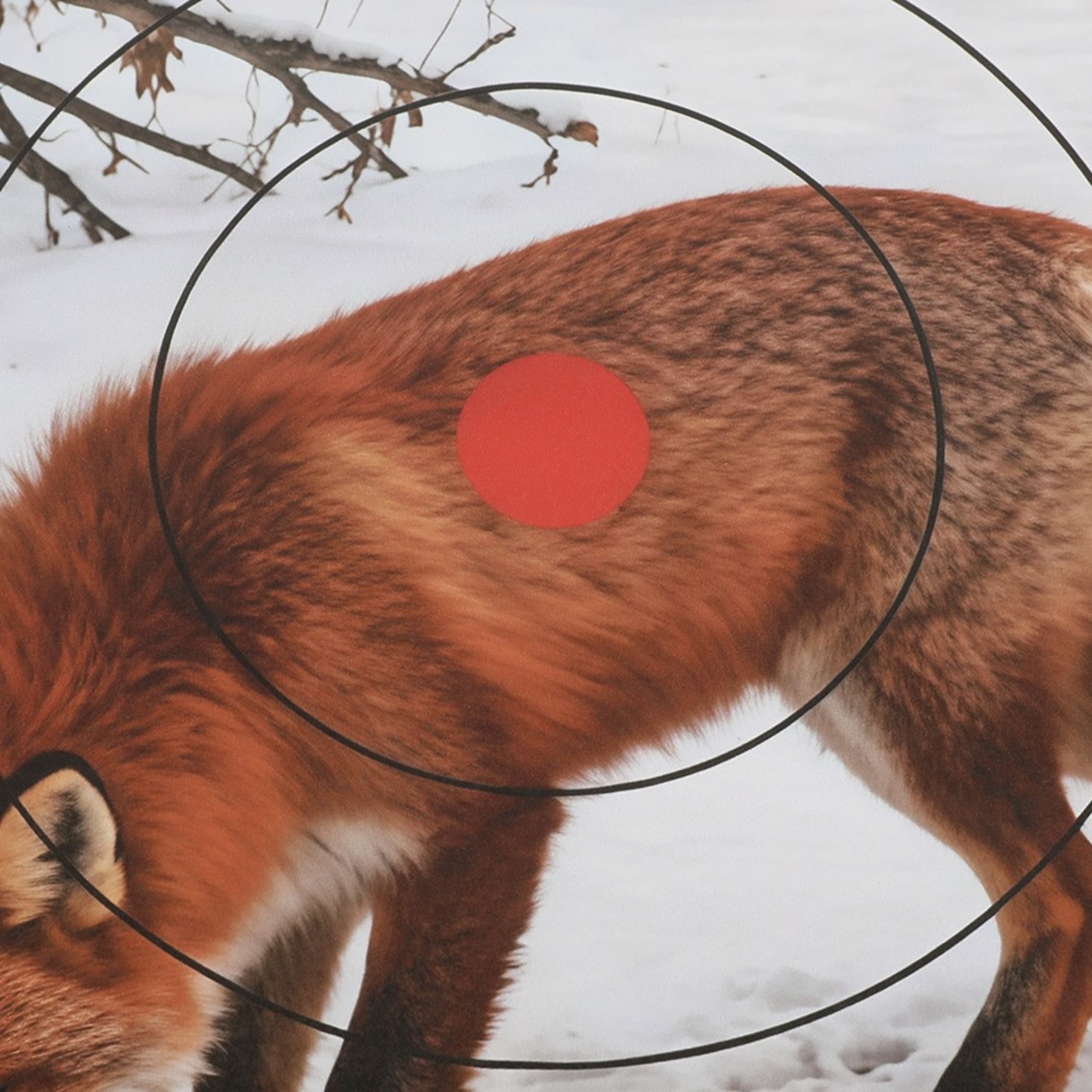 Archery Shooting Target Paper Durable Animal Field Face 40x40cm