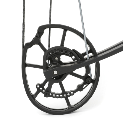 Professional Dual-Model Compound Bow - 40-70 lbs High Speed (460 FPS)