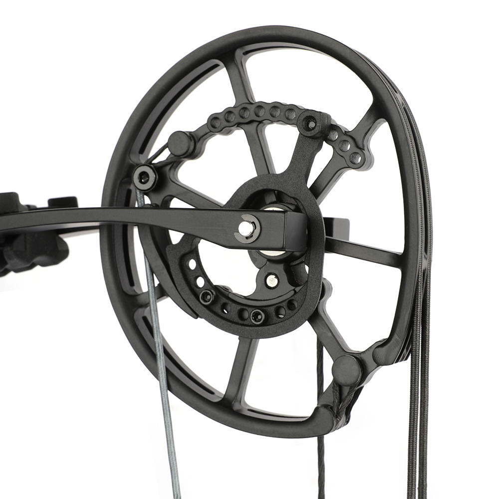 20-70lbs Compound Bow Arrow Set Dual-use Archery Ball