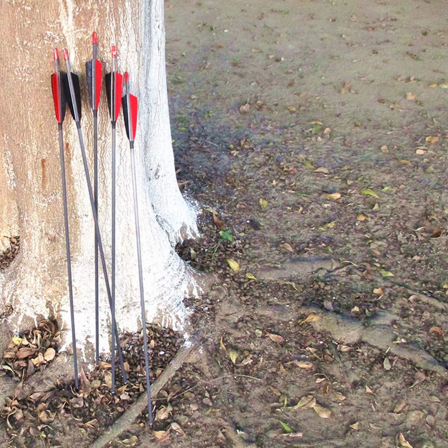 🎯Carbon Archery Arrows 500 Spine with Real Feathers for Compound Recurve Bow-AMEYXGS Archery