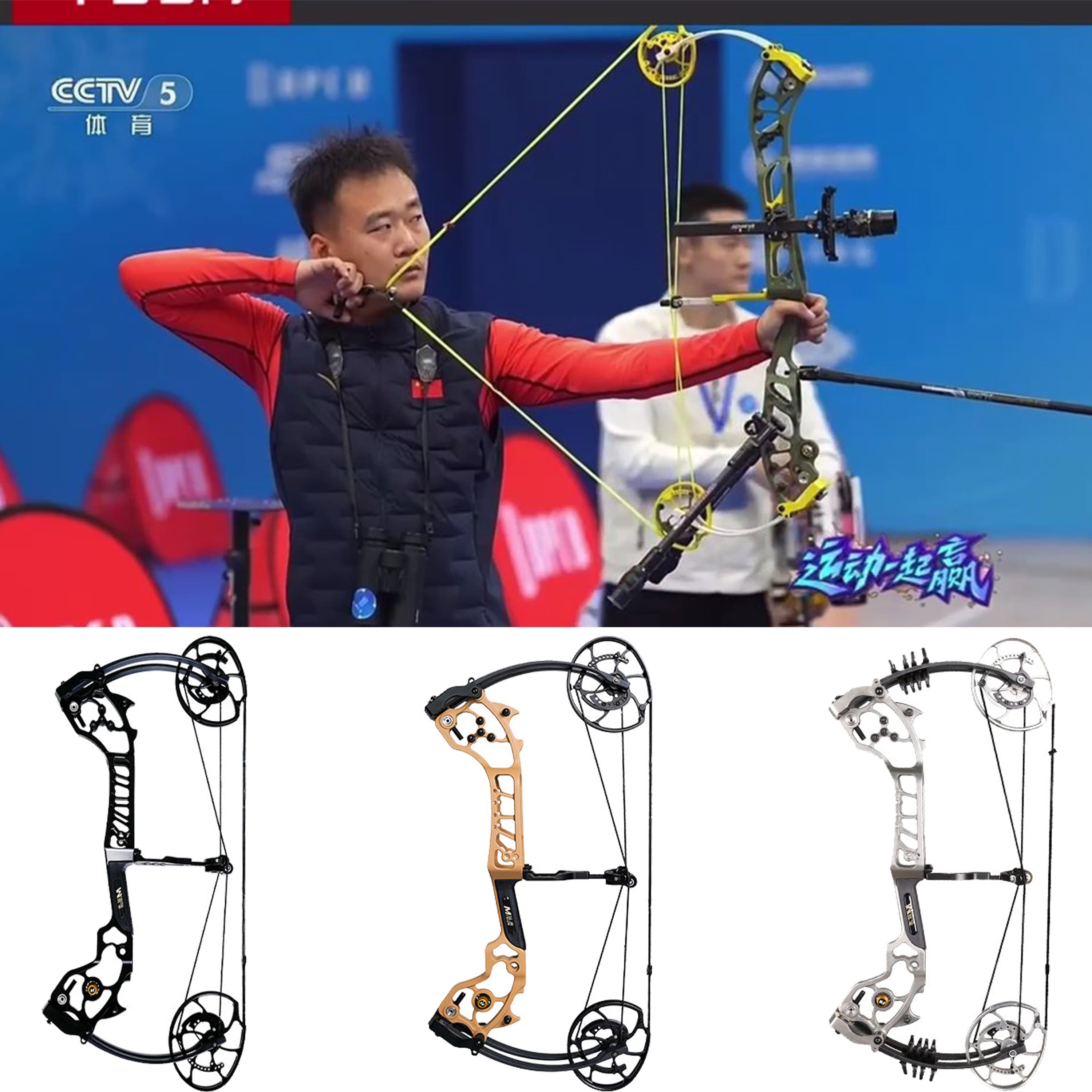 AGS 0-70lbs Target Compound Bow Kit Shooting Archery Hunting