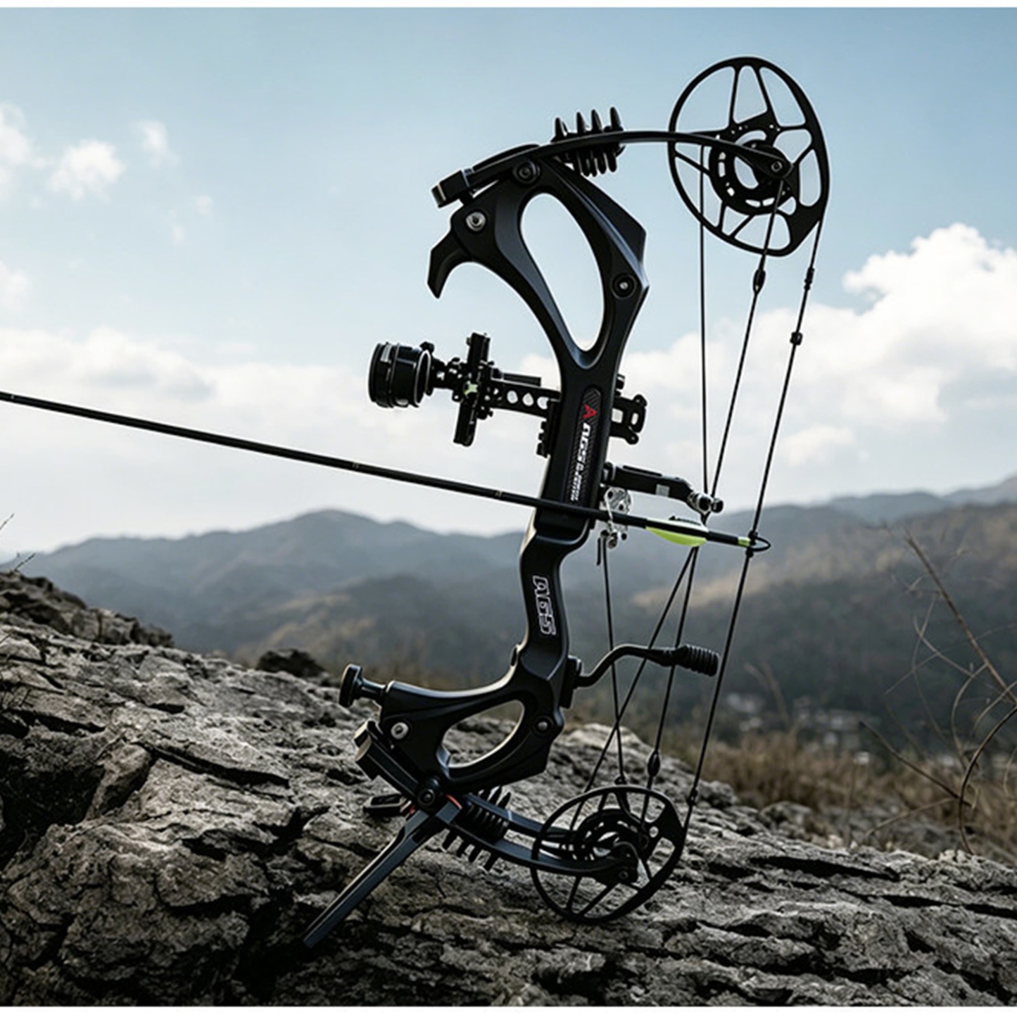 AGS 0-75lbs Target Compound Bow Kit Shooting Archery 