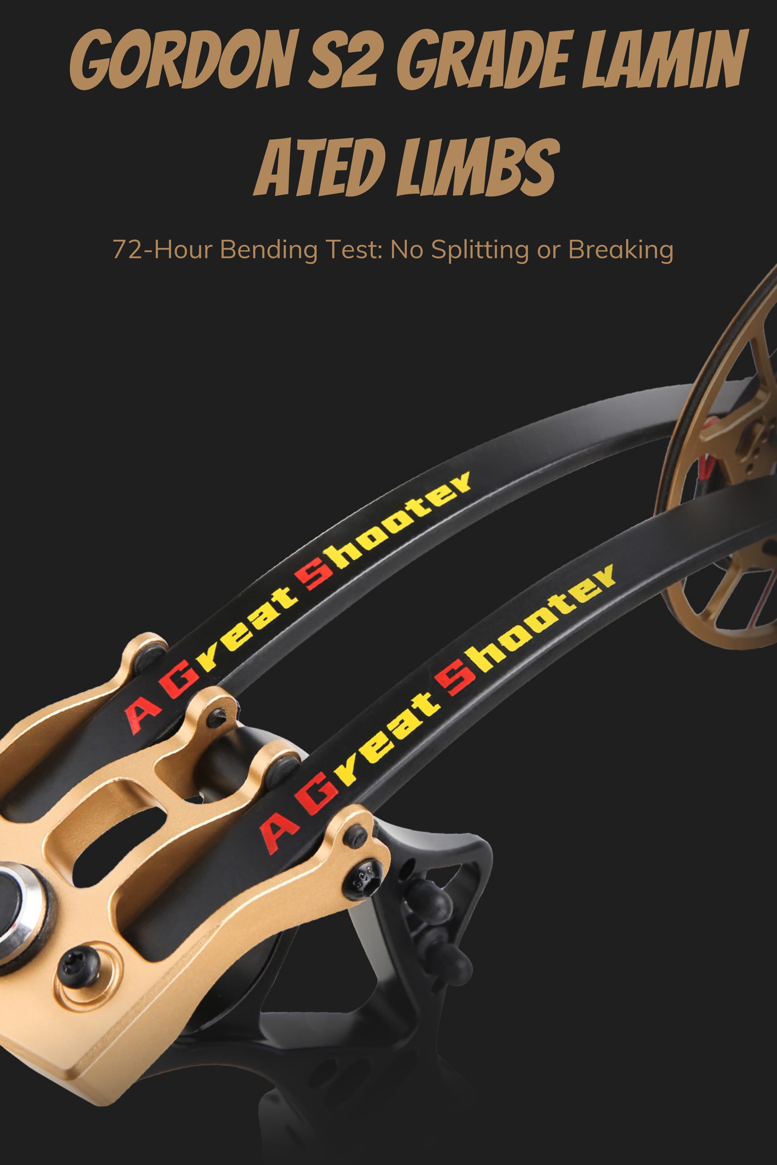 AGS 40-70lbs Target Compound Bow Kit Shooting Archery