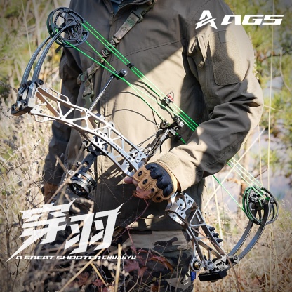 AGS 45-75lbs Target Compound Bow Kit Shooting Archery 