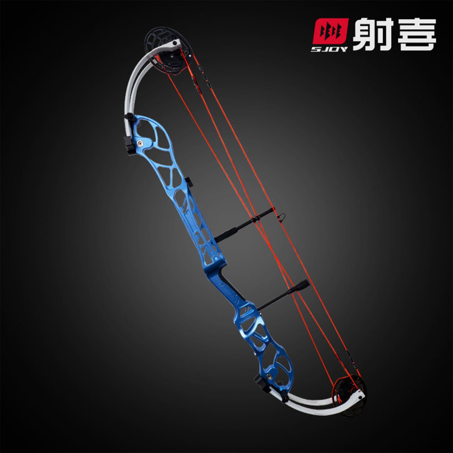 AGS 40-60lbs Target Compound Bow Kit Shooting Archery Hunting