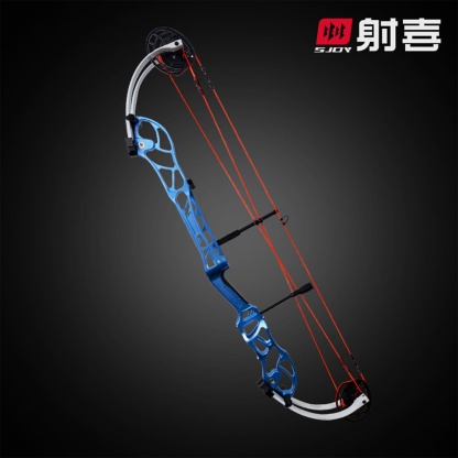 AGS 40-60lbs Target Compound Bow Kit Shooting Archery Hunting