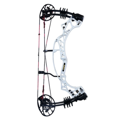 AGS 40-70lbs Target Compound Bow Kit Shooting Archery
