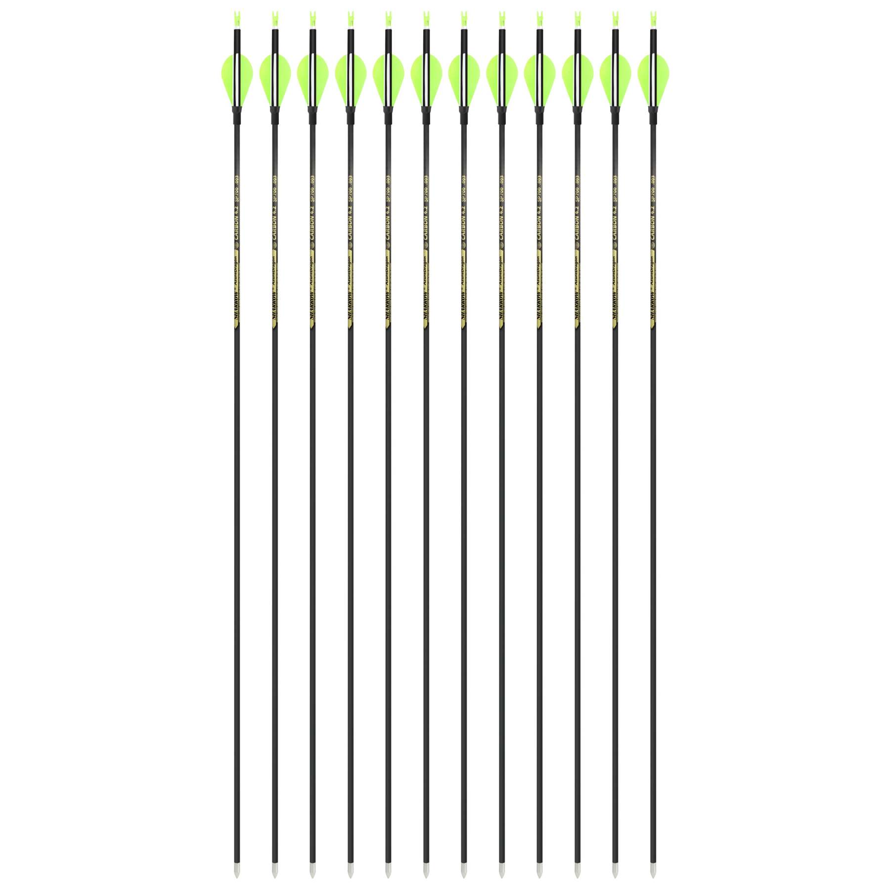 🎯100% Pure Carbon Arrow Practice Hunting Spine 700/800/900/1000-AMEYXGS Archery