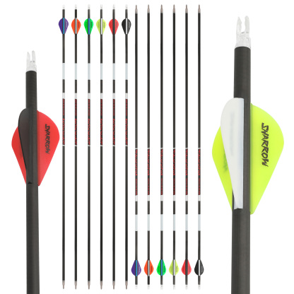 AMEYXGS Archery Blood Arrows Lighting