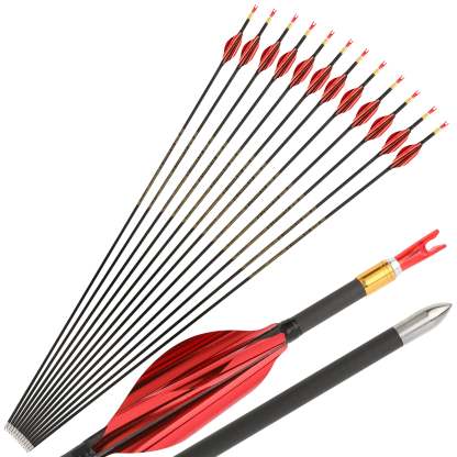 🎯AMEYXGS Archery Competitive 4.2mm Target Arrows Carbon Arrow Spine 700/800/900/1000-AMEYXGS Archery