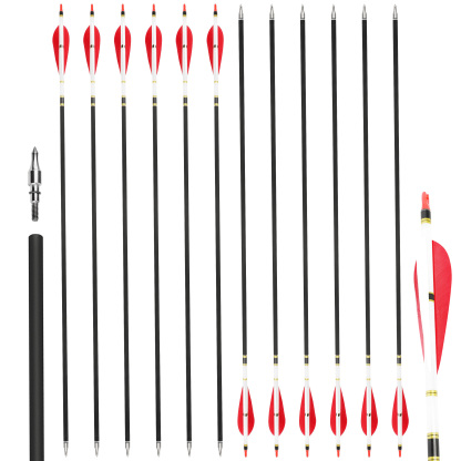 12pcs Archery Carbon Arrow for Compound Recurve Bow Hunting Target