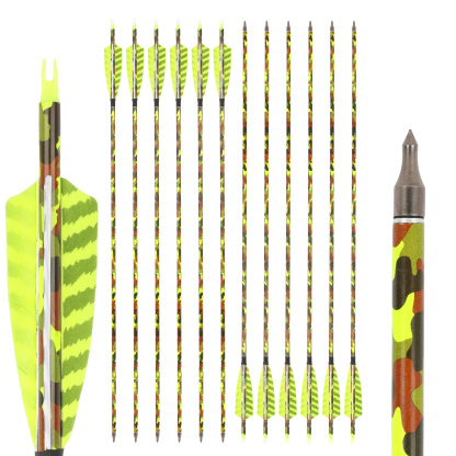 30" Spine 500 Carbon Arrows with Turkey Feather 12pcs