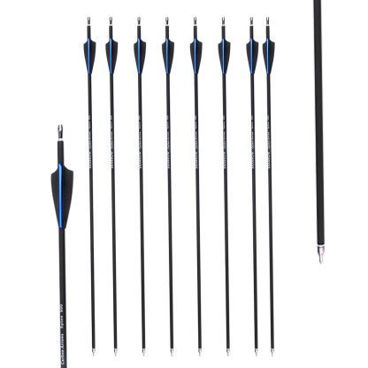 Archery Carbon Arrows SP500 Hunting Arrows 30" Target 12X