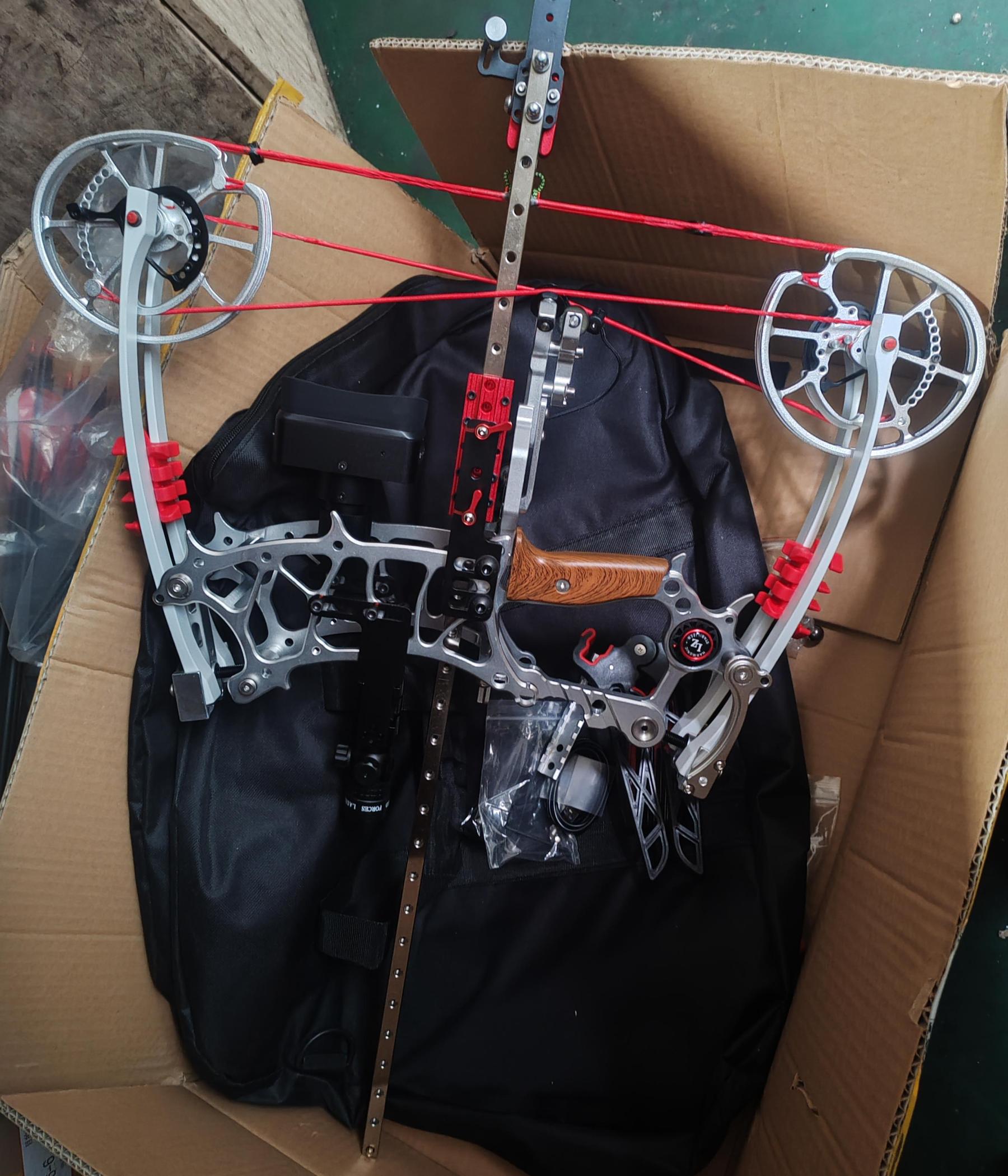 Archery Dual Compound Bow Arrow & Rapid Shooter Steel Ball