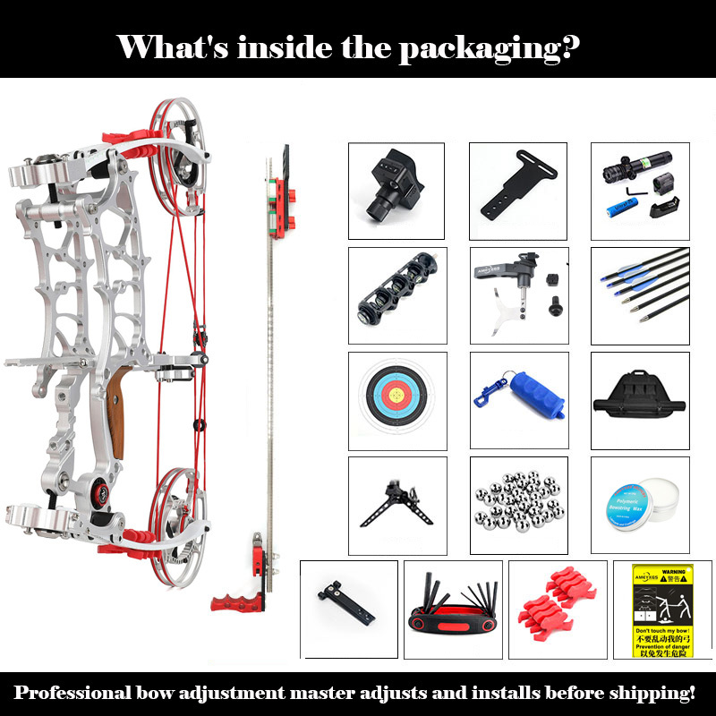 Archery Dual Compound Bow Arrow & Rapid Shooter Steel Ball