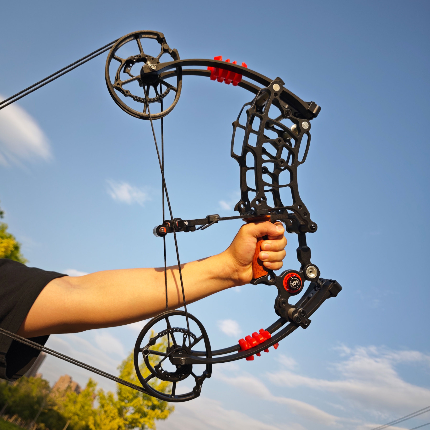 Archery Dual-use Compound Crossbow Hunting