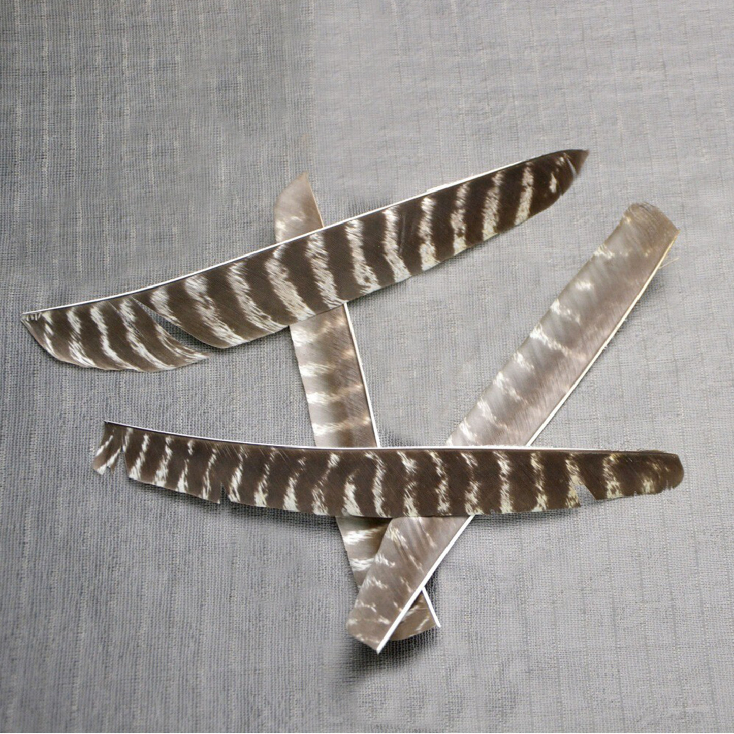 Archery Natural Turkey Feather Fletching Right Left Wings DIY Arrows