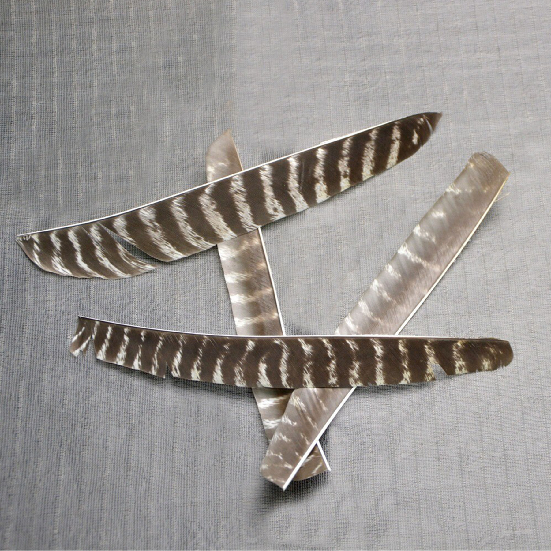 Archery Natural Turkey Feather Fletching Right Left Wings DIY Arrows