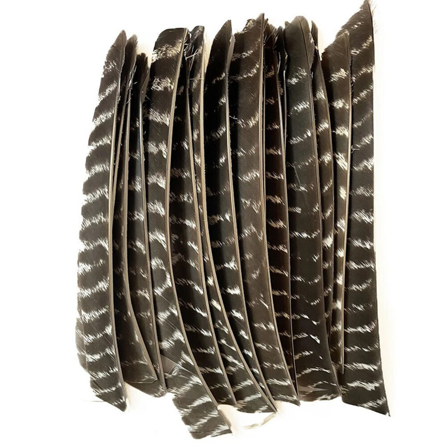 Archery Natural Turkey Feather Fletching Right Left Wings DIY Arrows