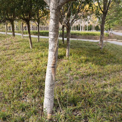 One Piece Bowhunting Archery 62'' Recurve Bow Longbow