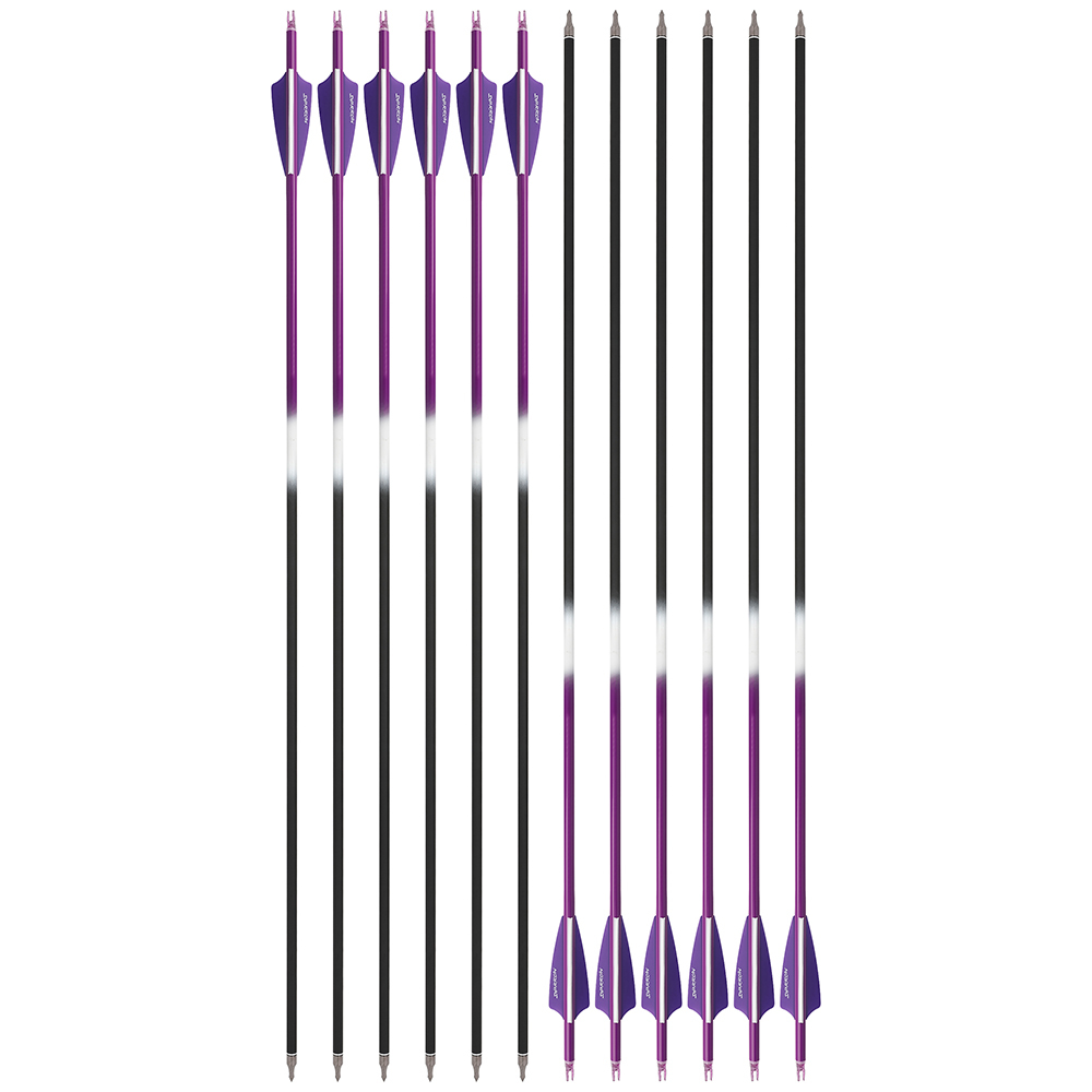 Blood Arrows Archery Field Outdoor Hunting ( Purple )