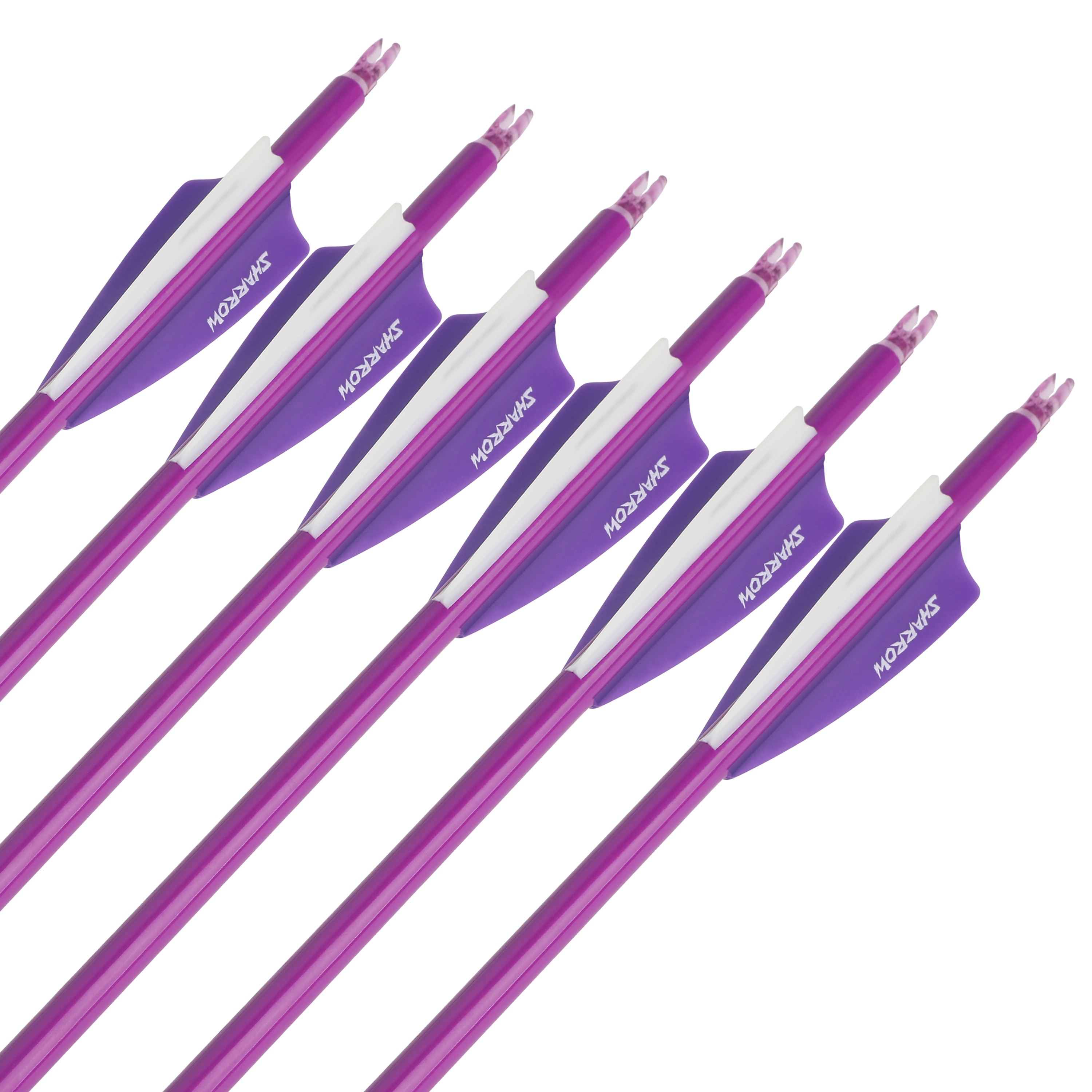 Blood Arrows Archery Field Outdoor Hunting ( Purple )