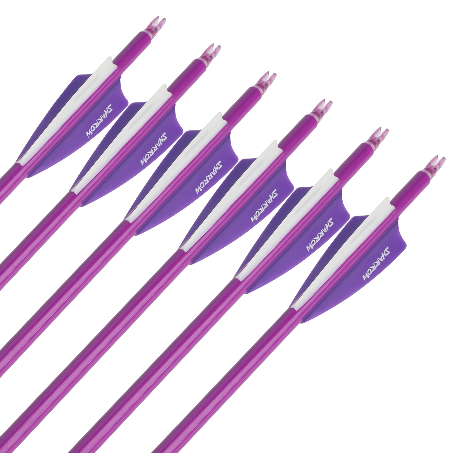 Blood Arrows Archery Field Outdoor Hunting ( Purple )