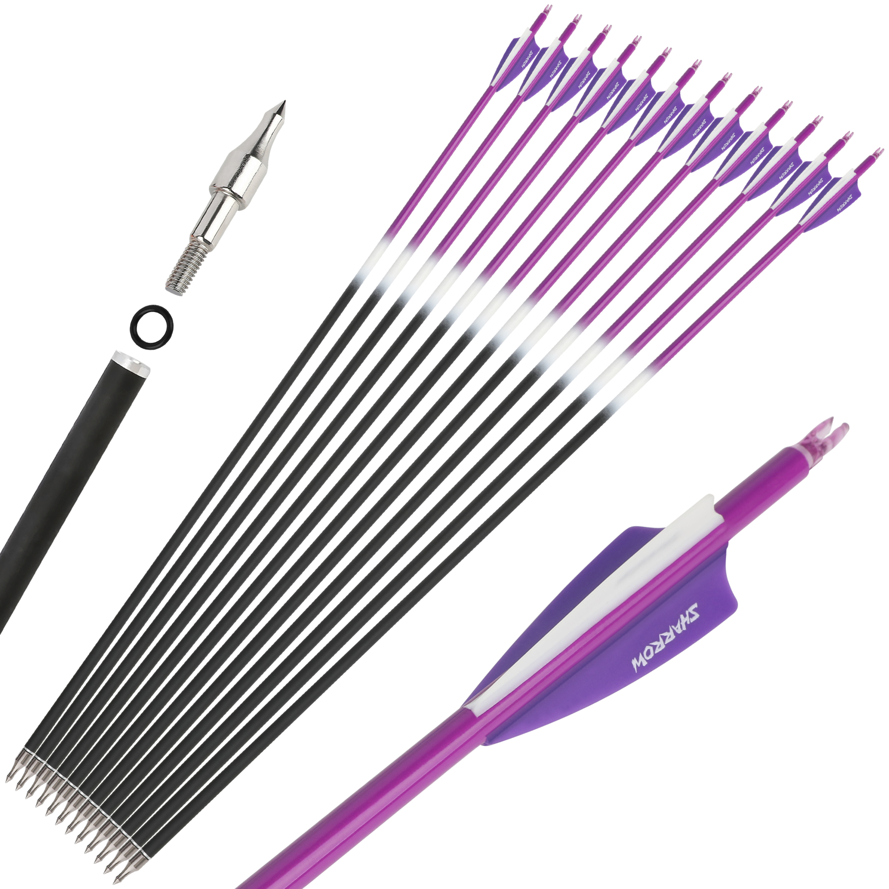 Blood Arrows Archery Field Outdoor Hunting ( Purple )