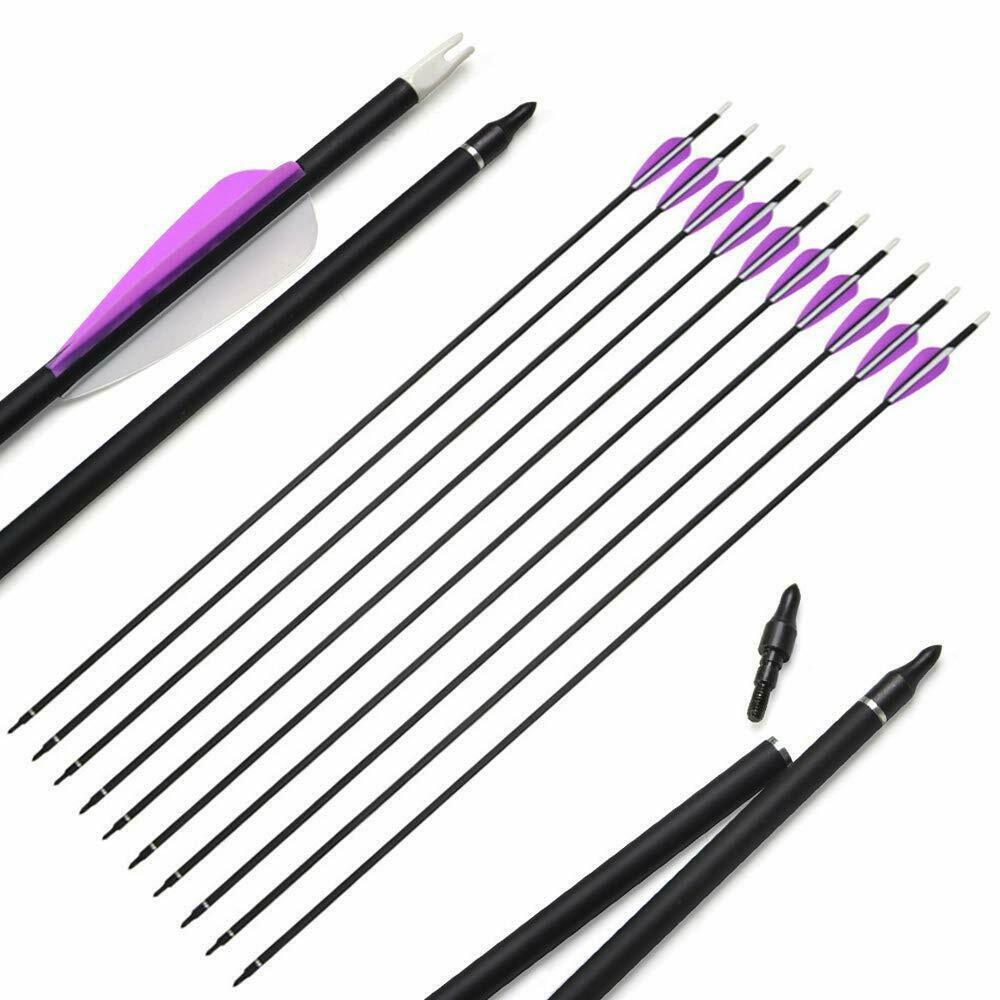 🎯Mixed Carbon Arrows 31" Parabolic Purple Fletched Archery Arrows-AMEYXGS Archery