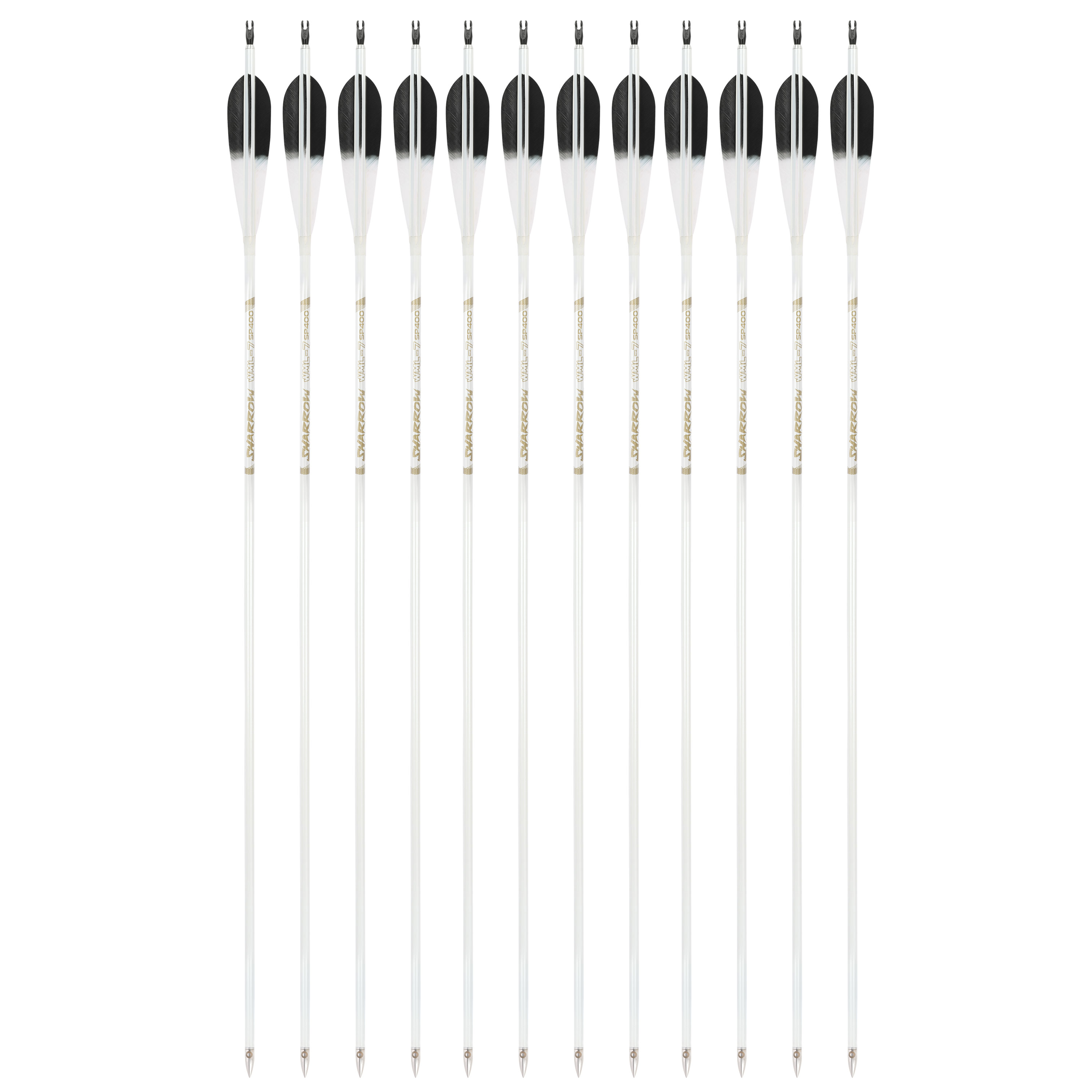 WML Carbon Arrows for Hunting Target （12pcs/Box)