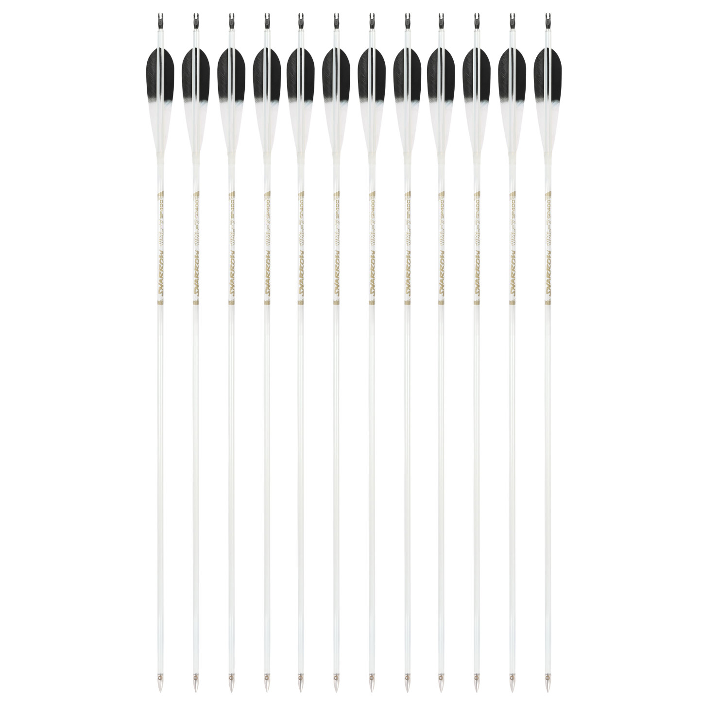 WML Carbon Arrows for Hunting Target （12pcs/Box)