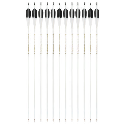 WML Carbon Arrows for Hunting Target （12pcs/Box)