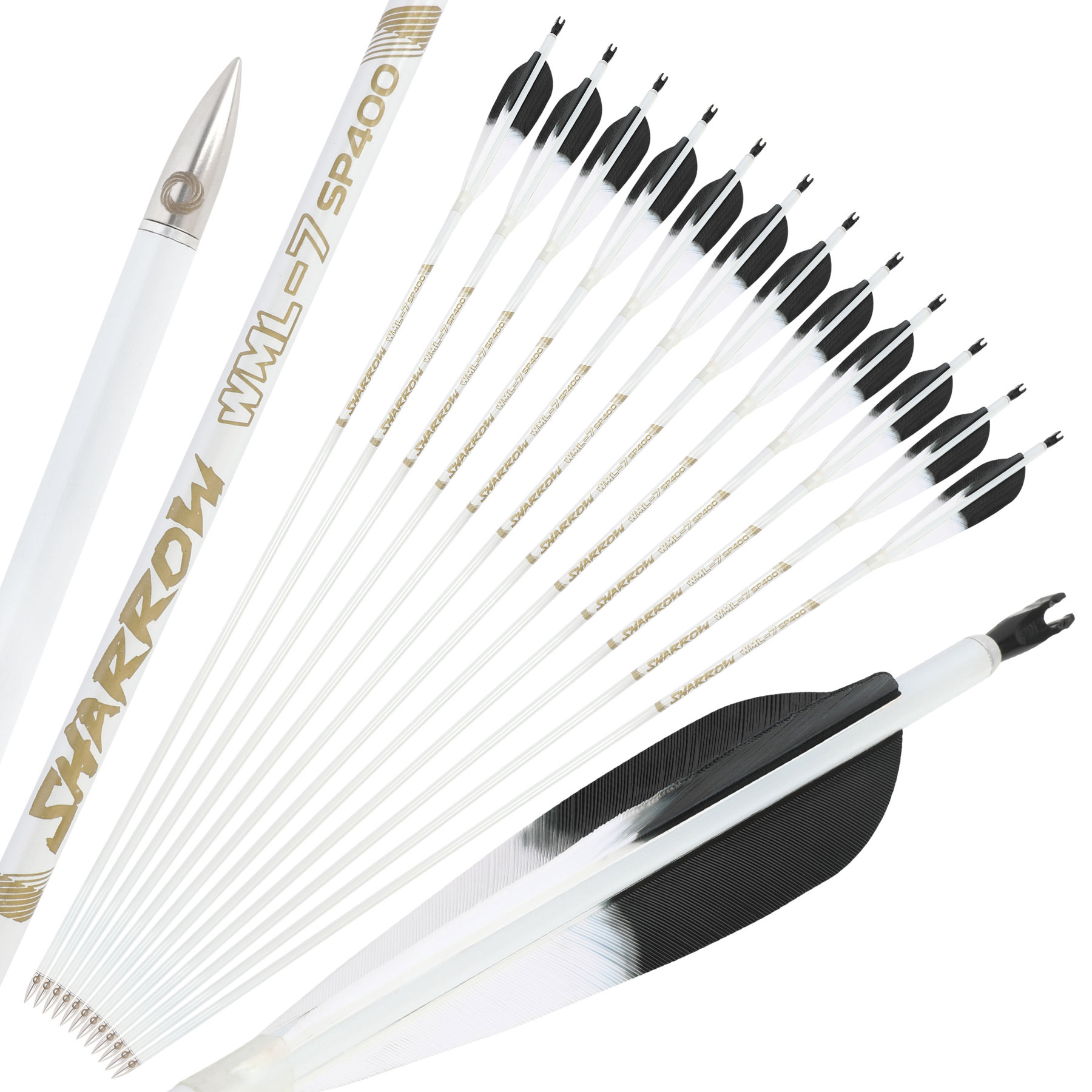 WML Carbon Arrows for Hunting Target （12pcs/Box)