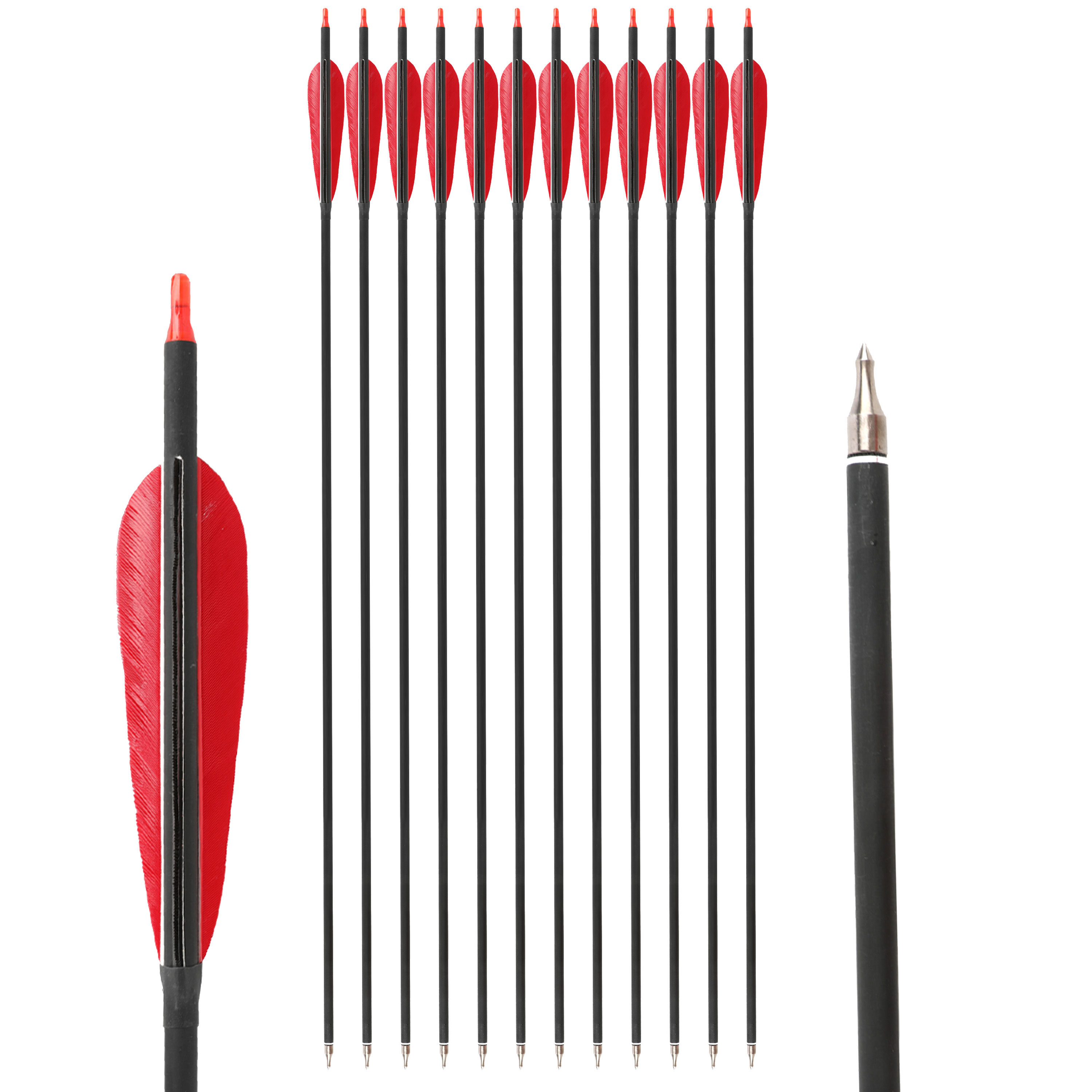 Carbon Arrow Spine 500 Turkey Feather Archery Shooting Target