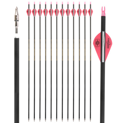 12x 30inch Carbon Arrows Spine 500 Rubber Vanes Shooting Target