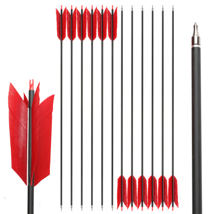 Carbon Arrows 12pcs 30 in 500 Spine 4-Fletch Hunting Set