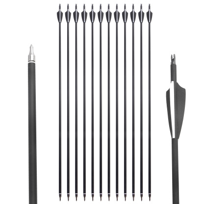 31.6 in Carbon Arrows 12pcs 500 Spine Value Set