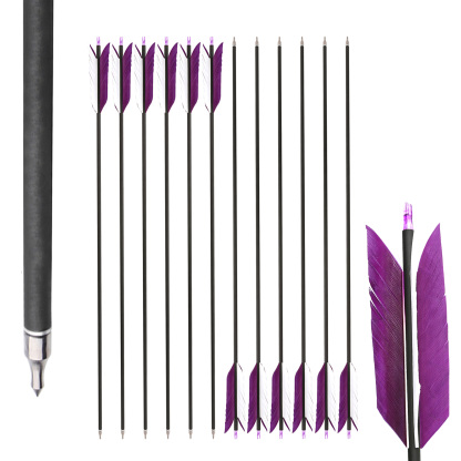 AMEYXGS 30" Spine 500 Mixed Carbon Arrow Set Vintage Arrowheads Pack