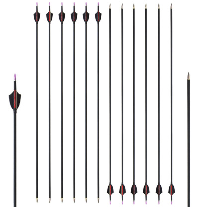 🎯SP1000 Carbon Arrows Natural Feather Archery