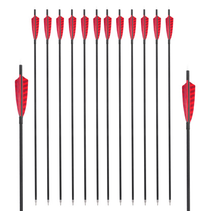 12pcs Carbon Arrows Spine 500 Archery