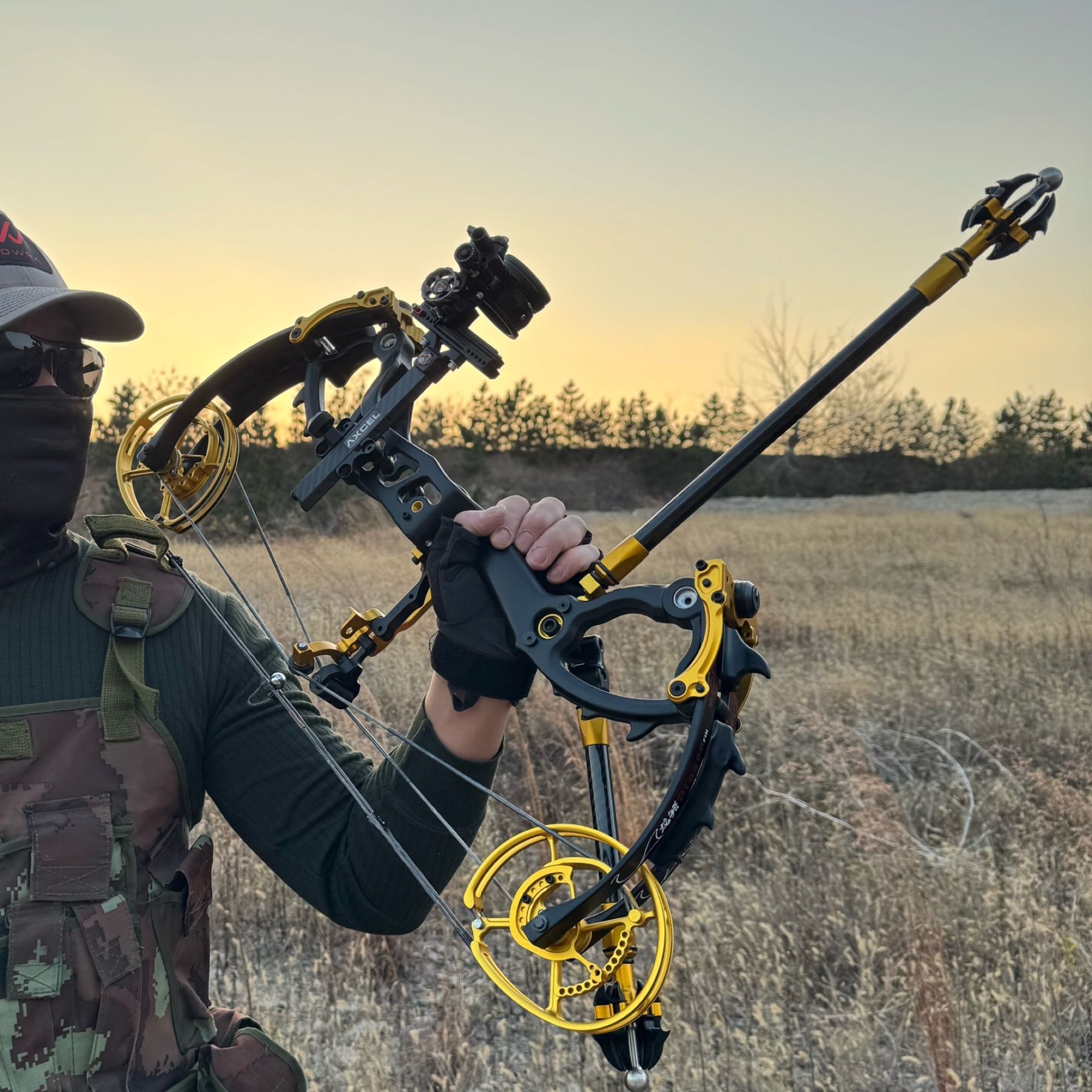 Carbon Dual-use Compound Bow Hunting Archery