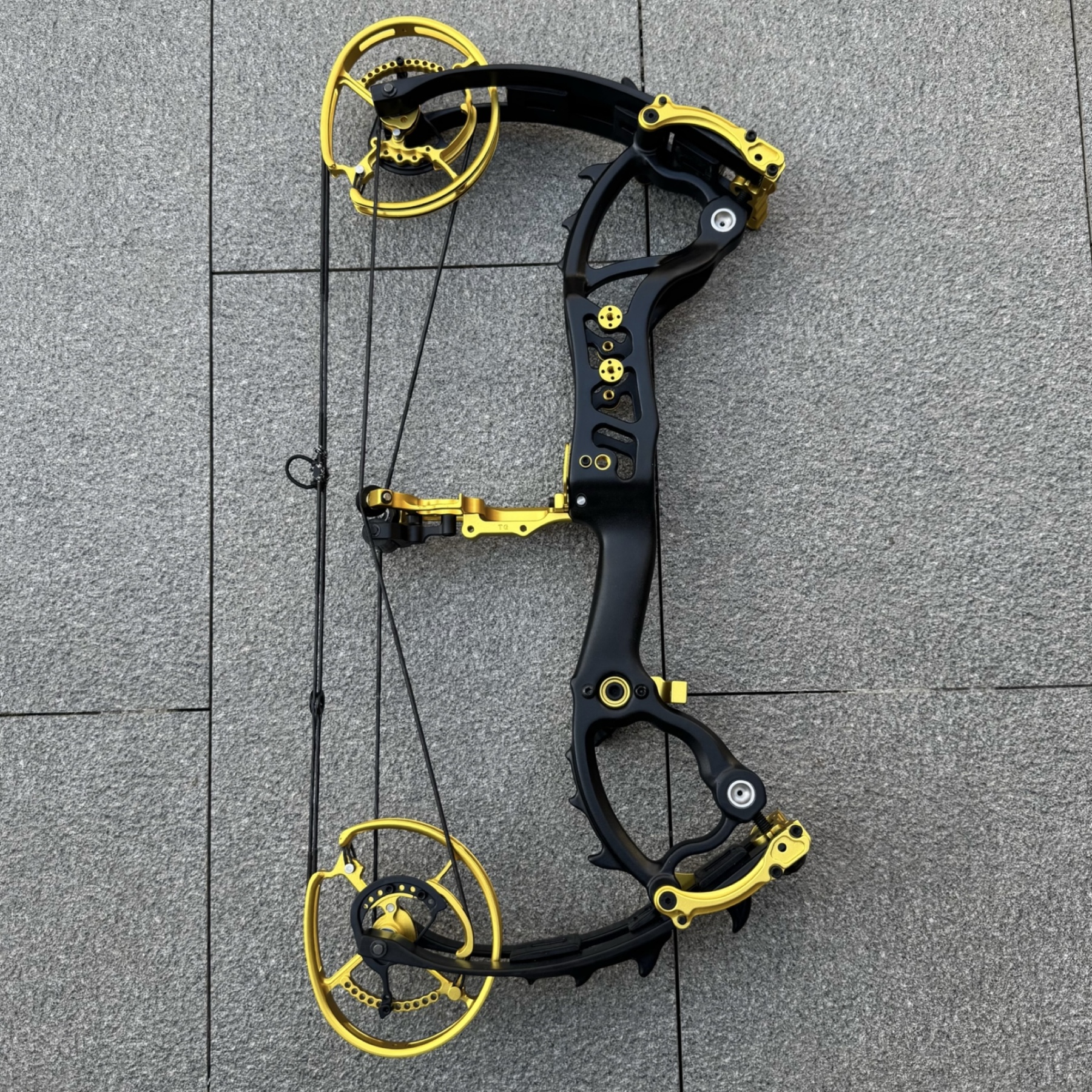 Carbon Dual-use Compound Bow Hunting Archery